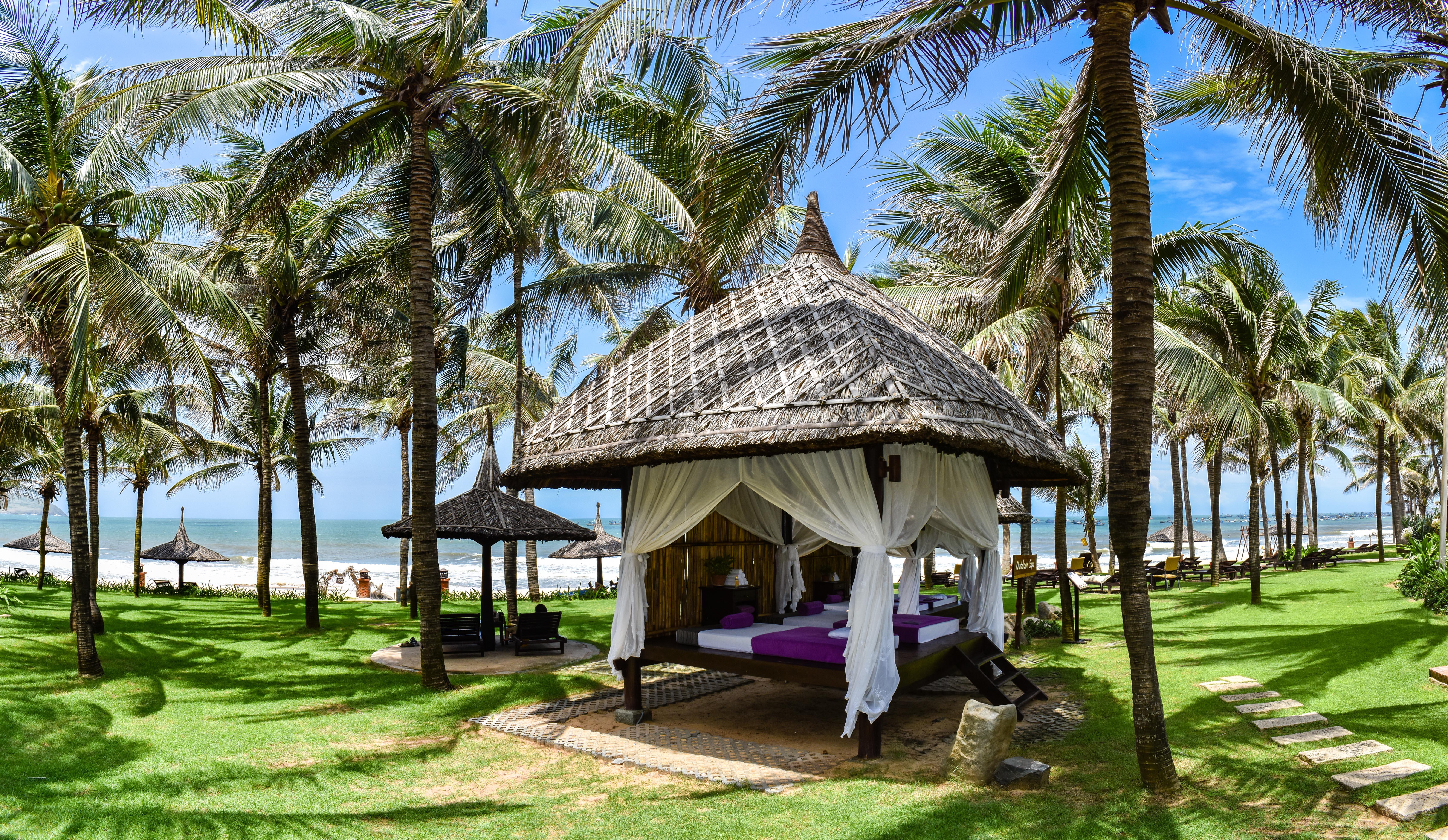 Pandanus सहारा Mui Ne